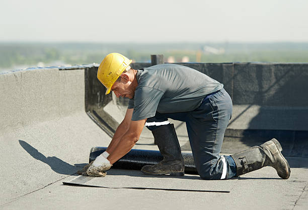 Best Residential Insulation in Chinle, AZ