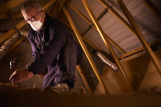 Best Commercial Insulation in Chinle, AZ